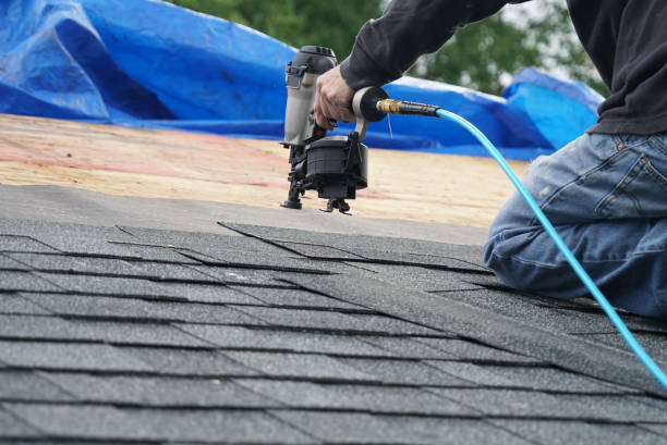 Best Local Roofing Companies  in Old Forge, PA